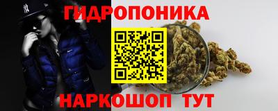 ПСИЛОЦИБИНОВЫЕ ГРИБЫ Ленинск-Кузнецкий