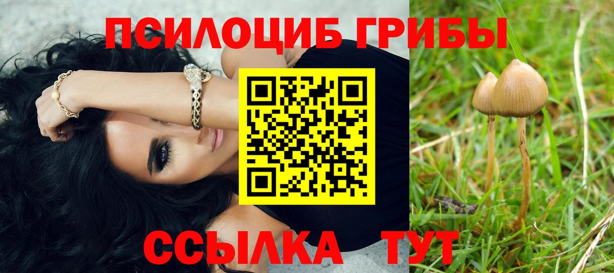 Галлюциногенные грибы мицелий Ногинск